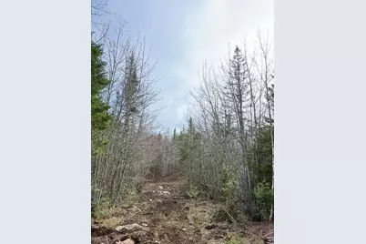 Lot 7Bh Steam Mill Road, Robbinston, ME 04671 - Photo 5
