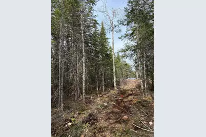 Lot 7Bh Steam Mill Road, Robbinston, ME 04671 - Photo 11