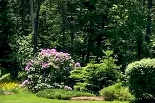 74 Town Farm Rd, Hampden, ME 04444 - Photo 57