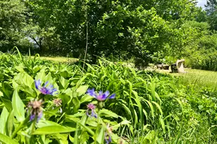 87 Monroe Hwy, Brooks, ME 04921 - Photo 3