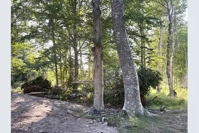 Lot 9-Part Rt 190 Road, Eastport, ME 04631 - Photo 19