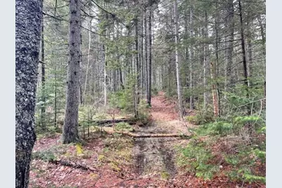 407 Waldoboro Road, Friendship, ME 04547 - Photo 81