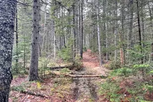 407 Waldoboro Rd, Friendship, ME 04547 - Photo 81