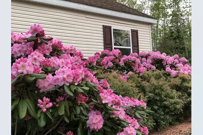 407 Waldoboro Road, Friendship, ME 04547 - Photo 43