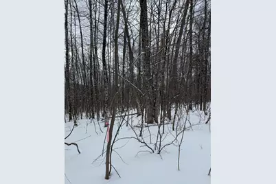 005-001-7 Nelson Road, Oakfield, ME 04763 - Photo 3