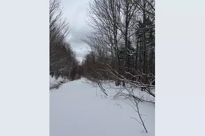 005-001-7 Nelson Road, Oakfield, ME 04763 - Photo 5