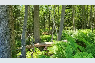 0 Sebasco Road, Phippsburg, ME 04562 - Photo 19