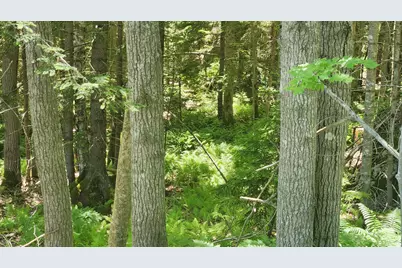 0 Sebasco Road, Phippsburg, ME 04562 - Photo 21