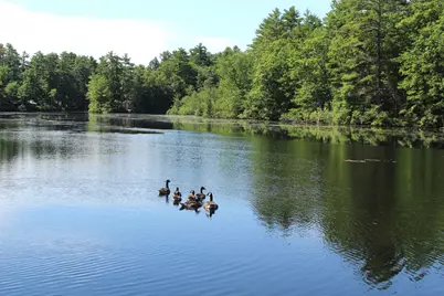 26 Channel Lane, Sanford, ME 04073 - Photo 41