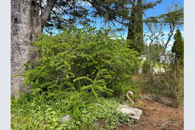 68 Village  Rd., Steuben, ME 04680 - Photo 39