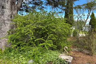 68 Village Rd, Steuben, ME 04680 - Photo 39