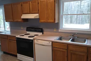 394 Transalpine Rd, Lincoln, ME 04457 - Photo 5
