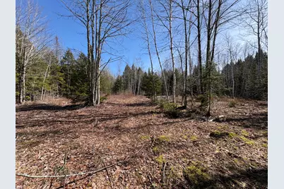 Lot 116 Bass Overlook, Waltham, ME 04605 - Photo 5