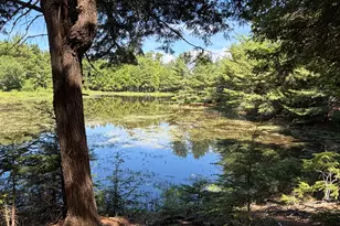 40 Benjamin Wy, Waltham, ME 04605 - Photo 1