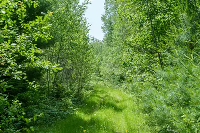 Lot 26-37 Otter Trail, Greenbush, ME 04418 - Photo 3