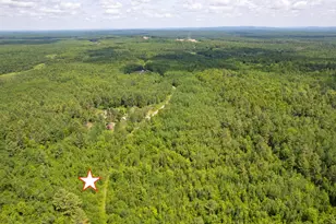Lot 26-37 Otter Trail, Greenbush, ME 04418 - Photo 1