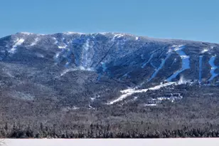 22 Robbins Nest Ln - Build Site, Dallas Plt, ME 04970 - Photo 37