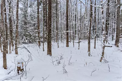 Lot 45-2 Pinewoods Trail, Oakland, ME 04963 - Photo 25