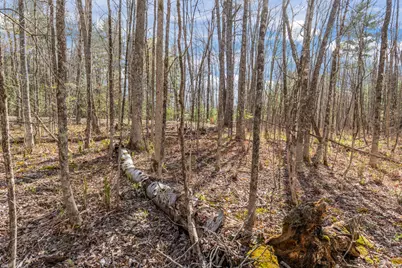 Lot 45-2 Pinewoods Trail, Oakland, ME 04963 - Photo 21