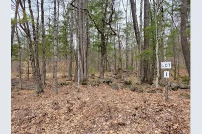Lot #1 W West Fryeburg Road, Fryeburg, ME 04037 - Photo 3