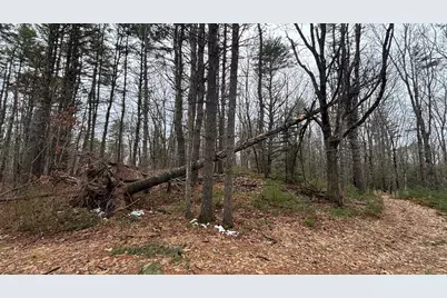 74 Mountain Road, Woolwich, ME 04579 - Photo 7