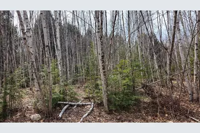 0 Woodland Drive #11, Carmel, ME 04419 - Photo 5