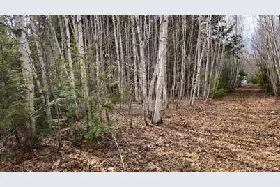 0 Woodland Drive #11, Carmel, ME 04419 - Photo 5