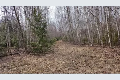 0 Woodland Drive #11, Carmel, ME 04419 - Photo 3