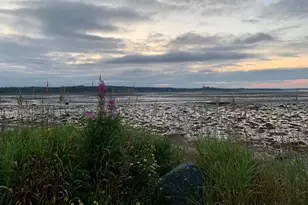 6 Cecelias Way, Lubec, ME 04652 - Photo 59