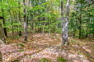 45 Viking Village Rd, Newry, ME 04261 - Photo 55