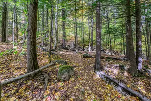 45 Viking Village Rd, Newry, ME 04261 - Photo 59
