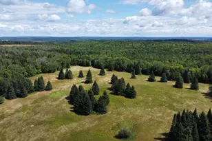 1075 W Rd, New Sweden, ME 04762 - Photo 133