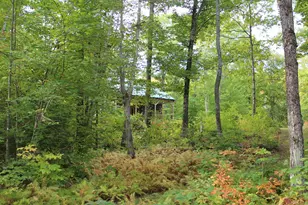 167 ''camp'' Town Farm Rd, Anson, ME 04958 - Photo 33