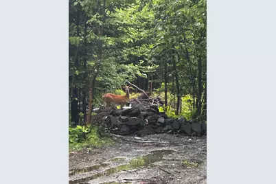 260 Nyes Corner Road, Saint Albans, ME 04971 - Photo 41