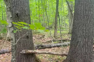 0000 Stream Rd, Moscow, ME 04920 - Photo 1