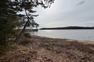203 Garnet Head Rd, Pembroke, ME 04666 - Photo 11