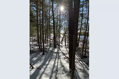203 Garnet Head Road, Pembroke, ME 04666 - Photo 91