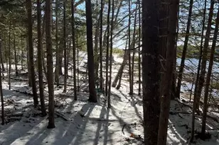 203 Garnet Head Rd, Pembroke, ME 04666 - Photo 91