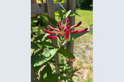 203 Garnet Head Road, Pembroke, ME 04666 - Photo 15