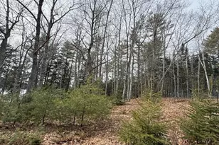 203 Garnet Head Rd, Pembroke, ME 04666 - Photo 85