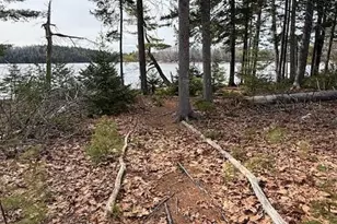 203 Garnet Head Rd, Pembroke, ME 04666 - Photo 83