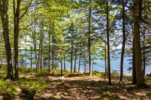 153 Back Shore Rd, Bristol, ME 04564 - Photo 87