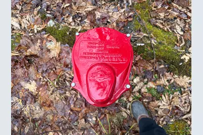 1373 Bailey Road, Jackson, ME 04921 - Photo 11