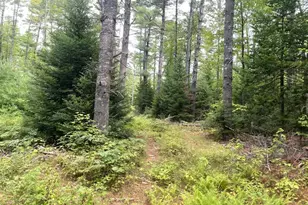 Map3 L14 N Rd, Harmony, ME 04942 - Photo 23