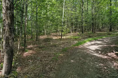 M5 L24 Goosepecker Ridge, Montville, ME 04941 - Photo 5