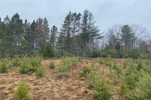 Lot 5 Copeland Hill Rd, Holden, ME 04429 - Photo 1