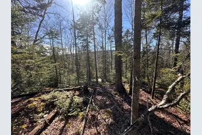237 Knights Pond Road, Northport, ME 04849 - Photo 17