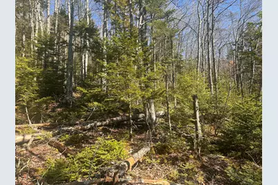 237 Knights Pond Road, Northport, ME 04849 - Photo 23