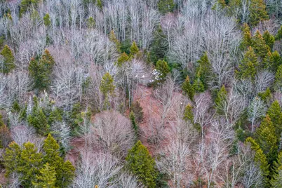 237 Knights Pond Road, Northport, ME 04849 - Photo 25
