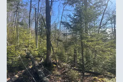 237 Knights Pond Road, Northport, ME 04849 - Photo 19
